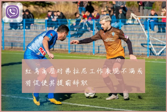 红鸟高层对弗拉尼工作表现不满或将促使其提前辞职